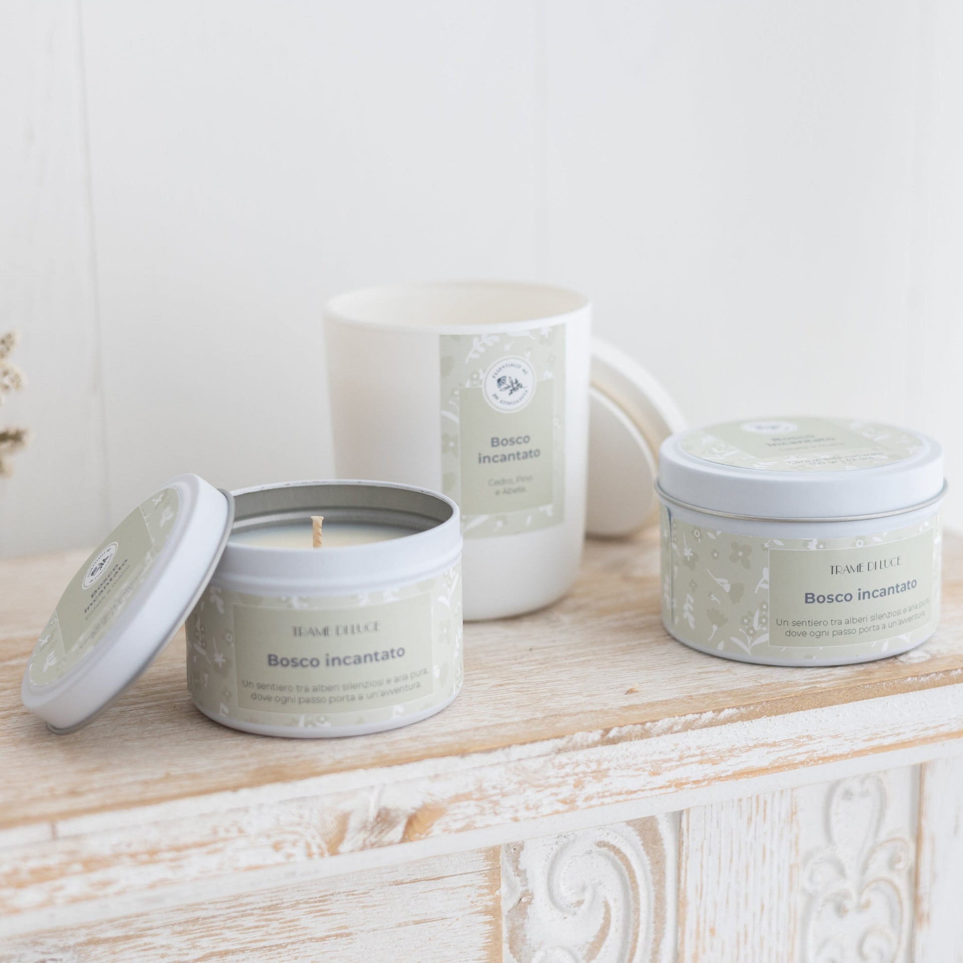 Bosco incantato | Cedro, pino dolce, abete
