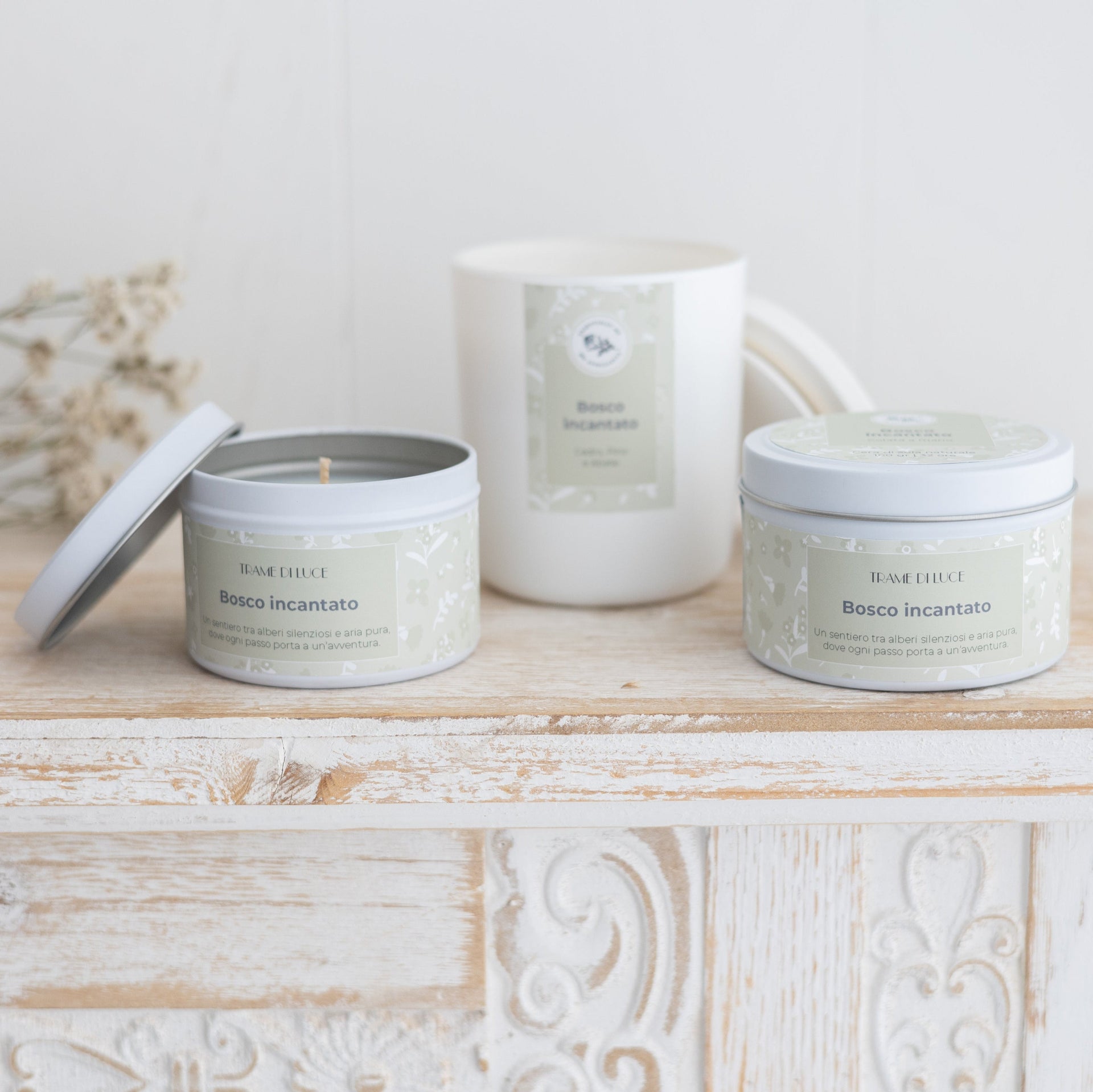 Bosco incantato | Cedro, pino dolce, abete